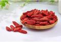 100% Natural Ningxia Dried Bulk Goji Berry