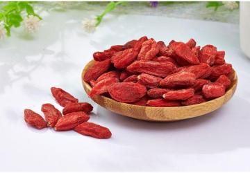 Abundante vitamina goji berry