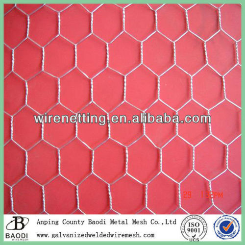 Cheap White Poultry Wire Netting factory