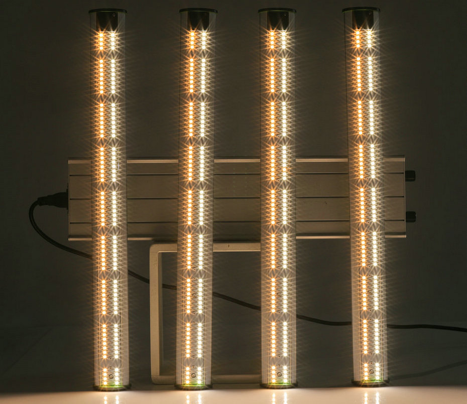 led grow light plants