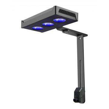 Cree LED Aquarium Light For Coral Reef