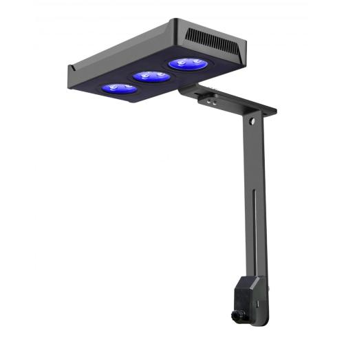 Cree LED Aquarium Light For Coral Reef