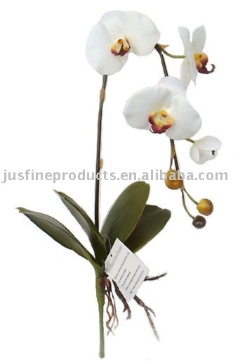 Silk Phalaenopsis Orchid, Artificial Phalaenopsis Orchid