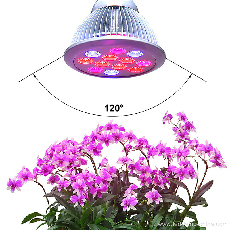 Helper Of Family Plant Light And greenhouse 12w Par LED grow light