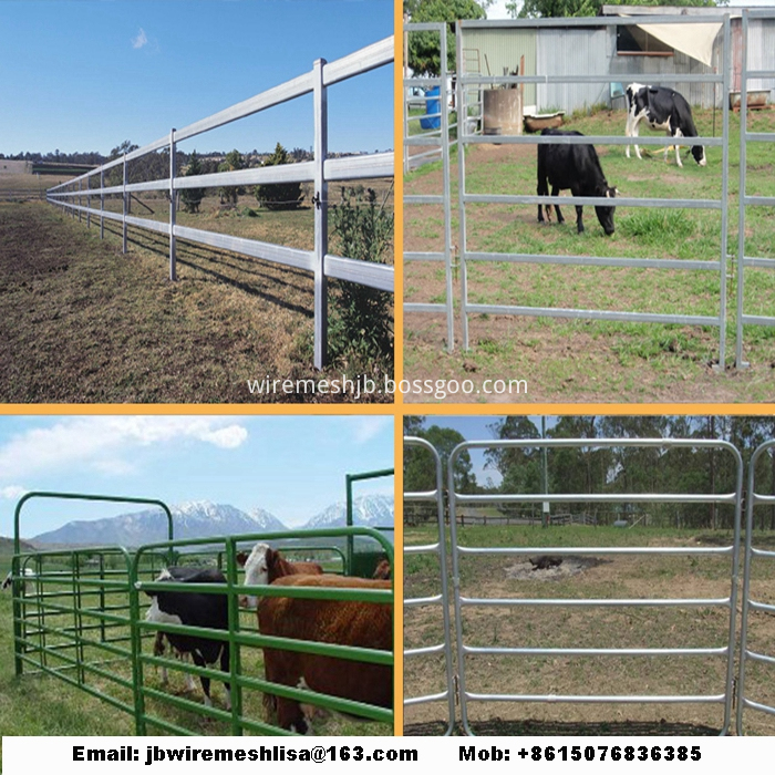 Galvanized  Horse Fence/Cattle Fence/Livestock Fence