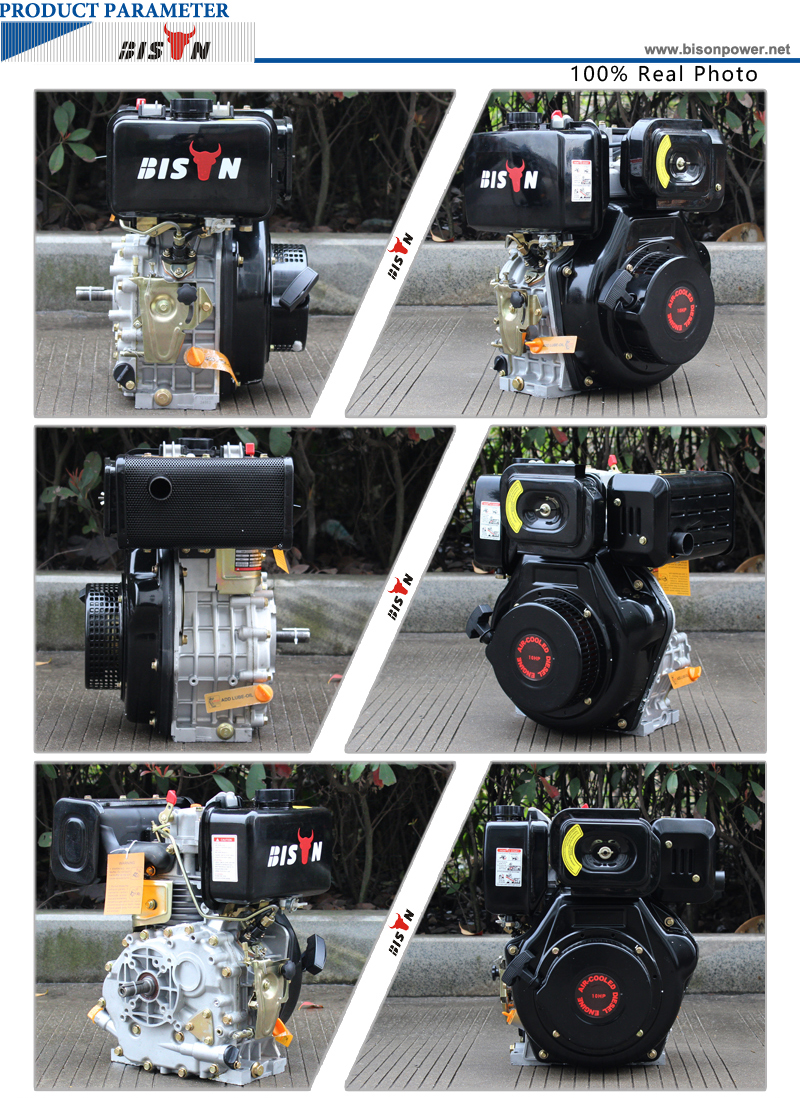 BIOSN(CHINA) BS192FE Electric Start Diesel Engine