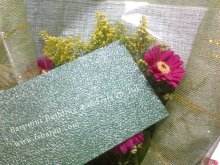 Green polycarbonate embossed sheet