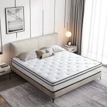 12 Inch Luxury Queen Size Foam Pocket Spring Coil Gel Memory Latex Bed