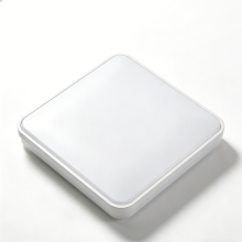 Ceiling-mounted light for calm interiors