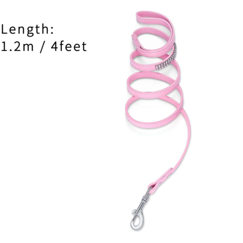 Rosa Pet Dog Leash