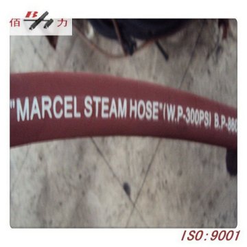 steam hose pipe