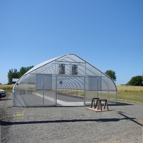 Agricultural Single Span Tunnel plastic for greenhouse