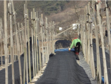 hot sale sun shading net/sun shade net price/black sun shade net Shade Cloth & Shade Net
