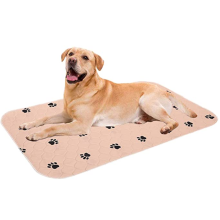 Washable Puppy Training pad