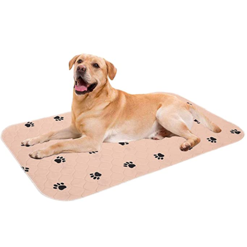 Washable Puppy Training pad