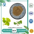 Натуральный экстракт листьев гинкго билоба/экстракт гинко билоба