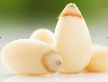 Chinese Pine Nut Kernel Without Shell