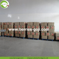 Factory Supply Fruits Nutrition For Sale Goji Berry