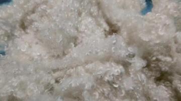 recycled PSF HCS 7d 15d for filling