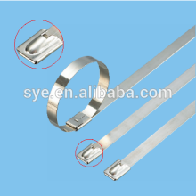 316 Stainless Steel zip Tie
