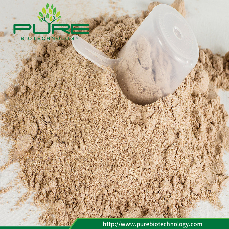 100٪ الطبيعية تريبولوس تيريستريس الفاكهة النباتية استخراج مسحوق (2) 100% Natural Tribulus Terrestris Plant Fruit Extract Powder (2)