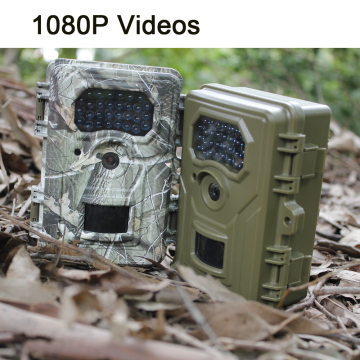 Outdoor Wildlife Tracking Camera