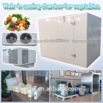 Walk-in cooling chamber for vegetables