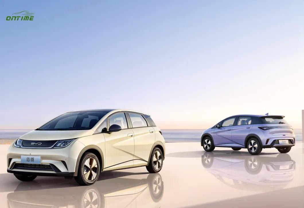 China′s Best New Energy Four Wheel Electric Vehicle Dolphin Series Equipped with High-Quality Batteries with Fast Charging Speed
