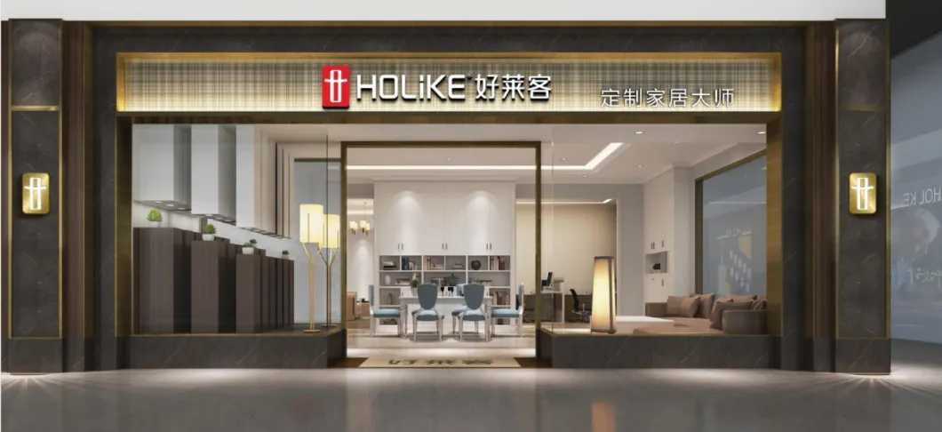 Holike Customized Bedroom Furniture Luxury Laminate Wooden Wardrobe