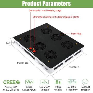 Phlizon COB 600W luzes LED para plantas em interior