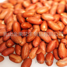 Roasted peanut kernels with seed coats without shell