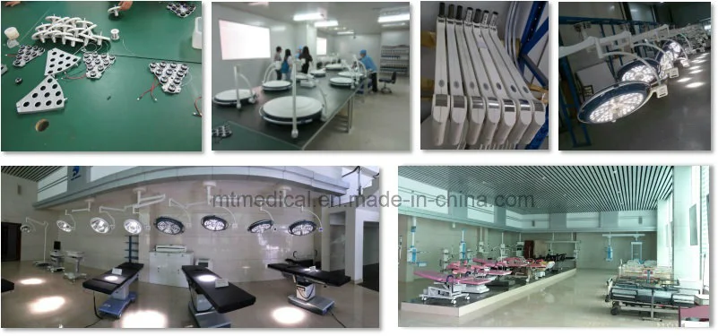 Medical Equipment Stainless Steel Oxygen Pet Cage