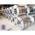 SGCC galvanized steel coils