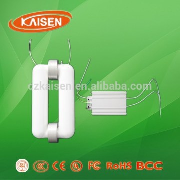 80W new products LVD price induction lamp rectangular tube with ballast