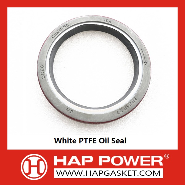 White PTFE Oil Seal