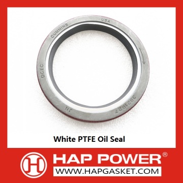 PTFE oil seal 3900709