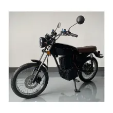 Em-Cg Classic Design Electric Motorbike - E-Bike & Motor Vehicles