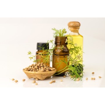 100% Pure natural organic corainder oil