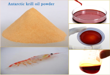 HSB Jilin Painuo Most Professional Manufacturer Krill Oil Powder Micro Capsule Krill Oil Powder OEM ODM