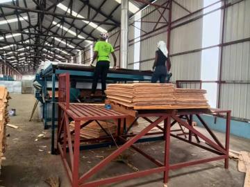 New model 2 deck 32M roller dryer