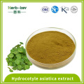 40% antibacterial effect Hydrocotyle asiatica extract