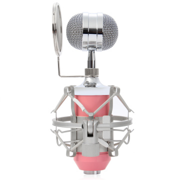 BM-8000 Professional Studio Condenser Microphone with Accessory Kit for KTV Karaoke