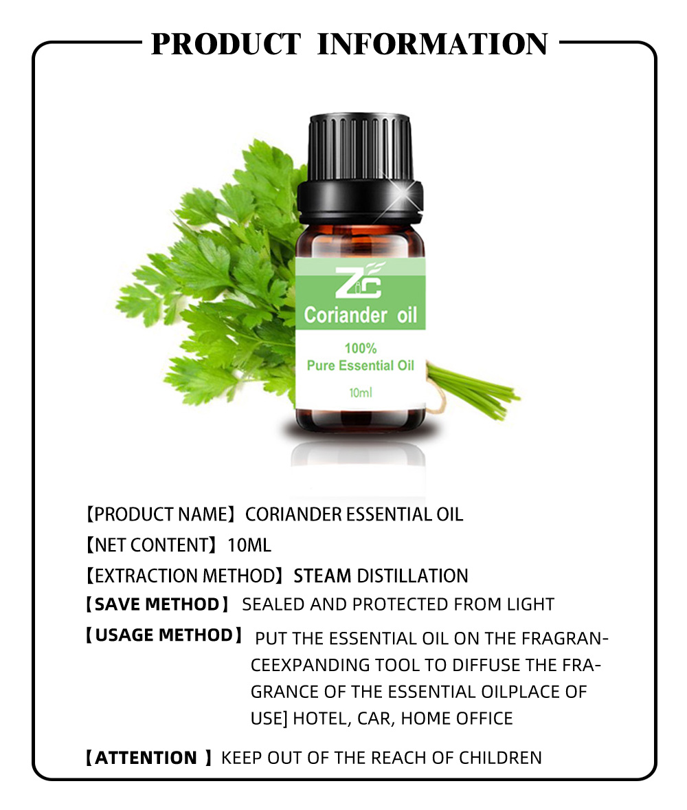 Widely Selling100% Pure Coriander Essential Oil For Skincare