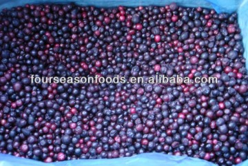 IQF Blueberries