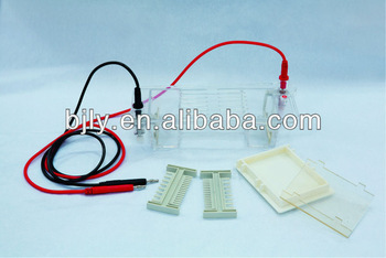 Agarose Gel Electrophoresis Cell DNA Electrophoresis Cell