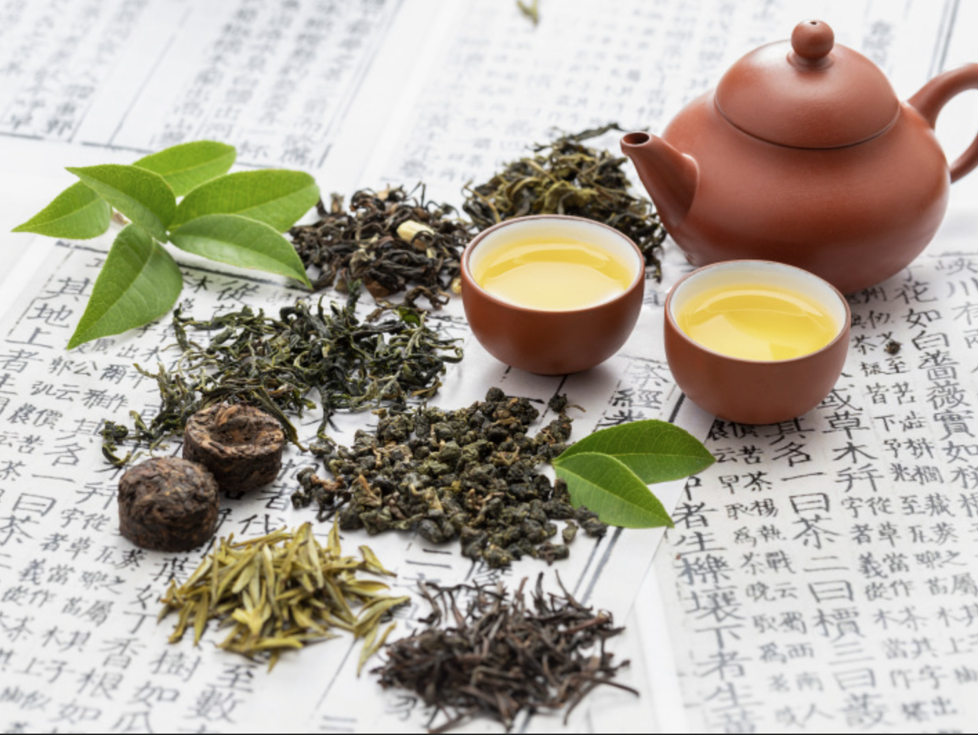 Поставщик порошка экстракта белого чая White Tea Extract Powder Supplier