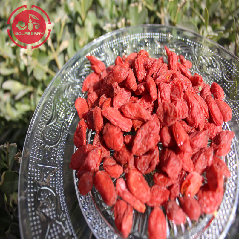 Wolfberry / Lycium Barbarum / Bacche di goji di alta qualità