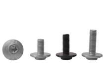 Hexalobular Socket Large Pan Head Screw