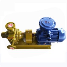 Electric Vane Pump for LPG Gas Transfer