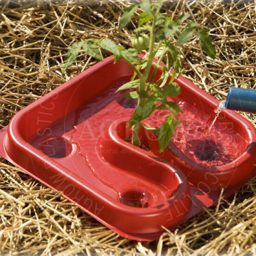 Tomato Growing Plastic Trays